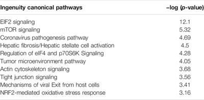 A Comparative Proteomic Analysis of Extracellular Vesicles Associated With Lipotoxicity